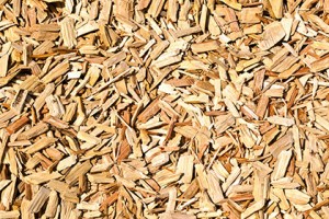 meinzahn110601174.jpg - wood shavings on the floor